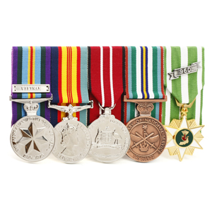 Vietnam War National Service Campaign Medals Group